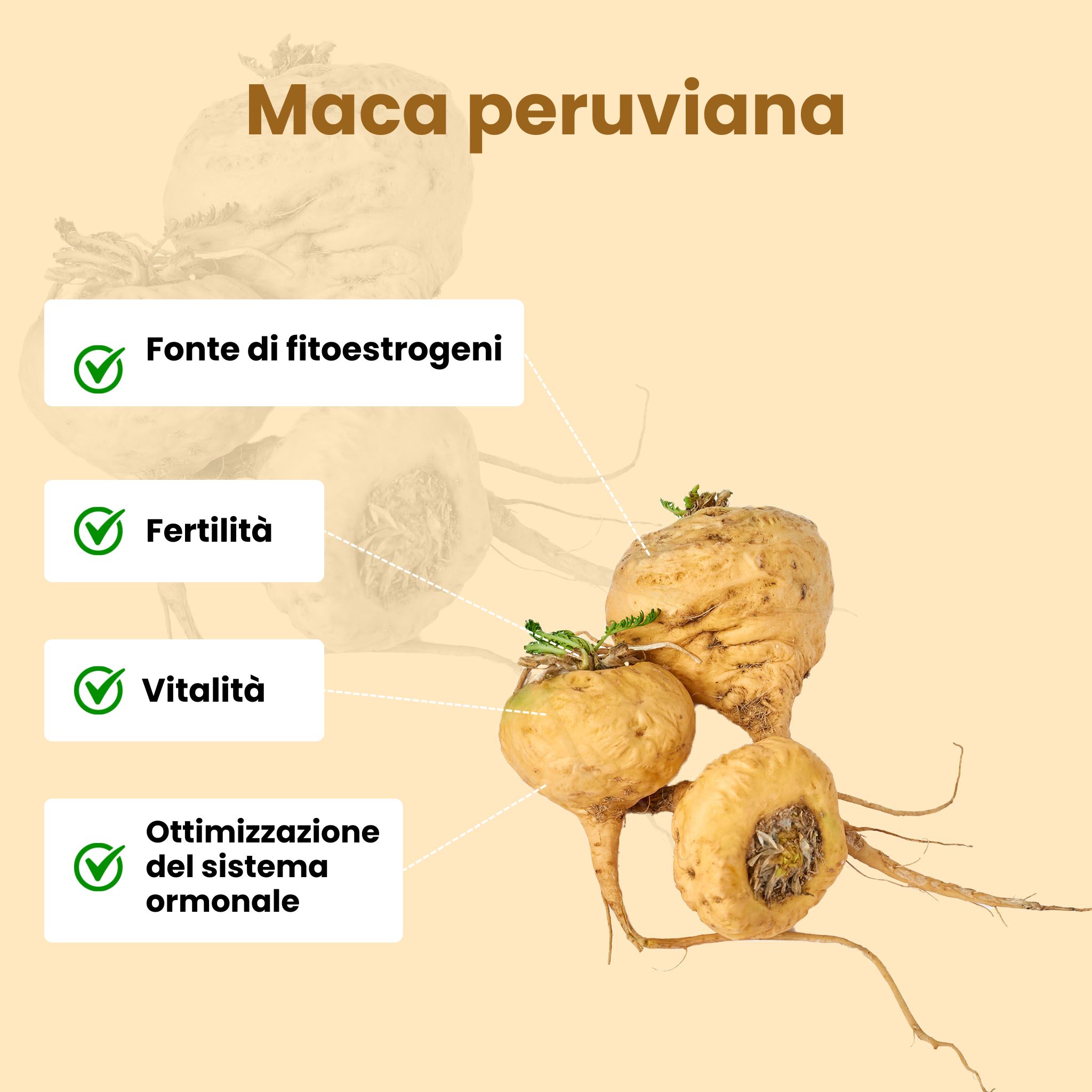 (Italian) Maca peruanska